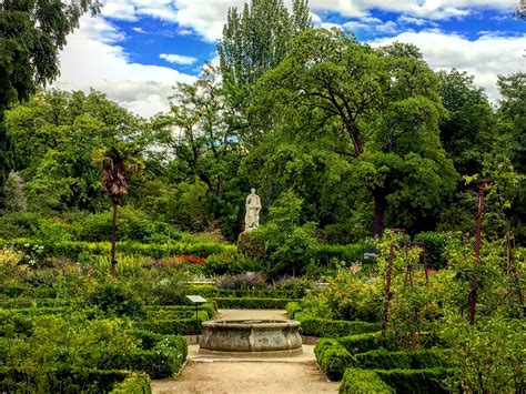  Real Jardín Botánico de Palma: สวนพฤกษศาสตร์ที่ร่มรื่นและเต็มไปด้วยความงามทางธรรมชาติ